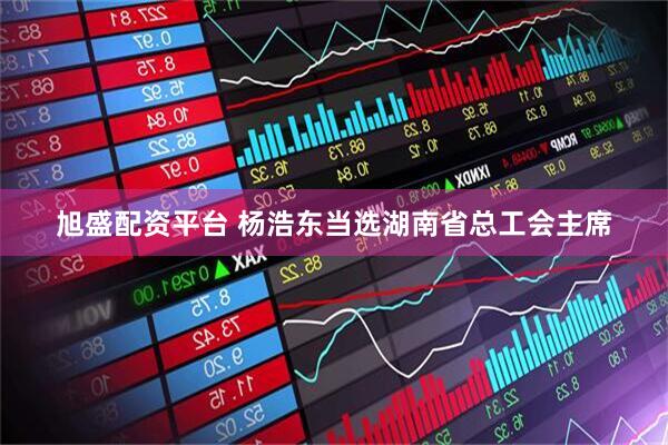 旭盛配资平台 杨浩东当选湖南省总工会主席