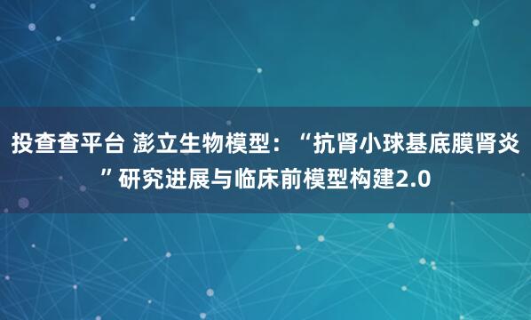 投查查平台 澎立生物模型：“抗肾小球基底膜肾炎”研究进展与临床前模型构建2.0